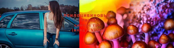герыч Дмитров