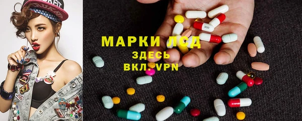 трава Дмитриев