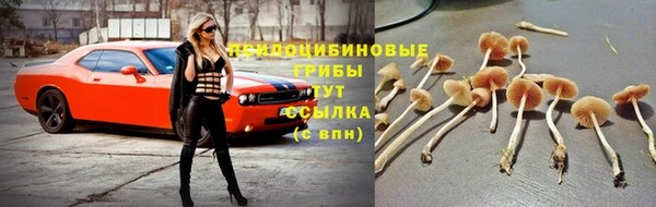 трава Дмитриев