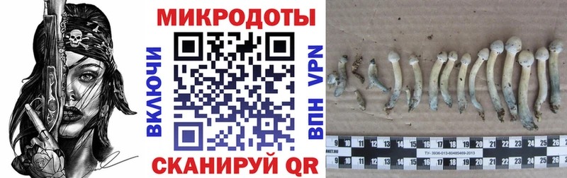 Псилоцибиновые грибы мухоморы  даркнет сайт  Котово 